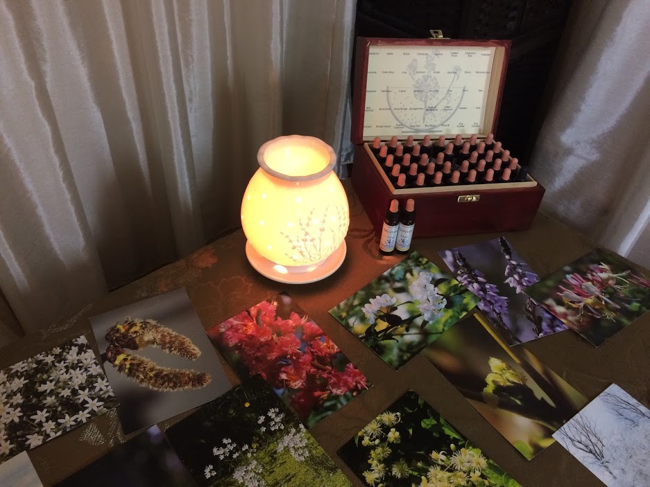 フラワーエッセンス講座とカウンセリング